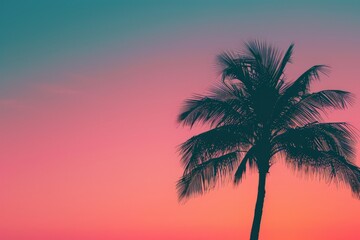 A palm tree stands as a dark silhouette against a vibrant pink and blue sky, creating a striking contrast