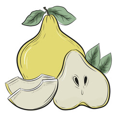 drawing pear  fruit  graphics png  file. Png. Without background