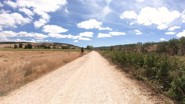 French Way of Saint James - a pilgrim walking the Camino near Villafranca Montes de Oca, province of Burgos, Castile and Leon, Spain