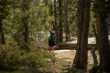 Fototapeta na wymiar Backpacker Seen Through Trees In Yosemite