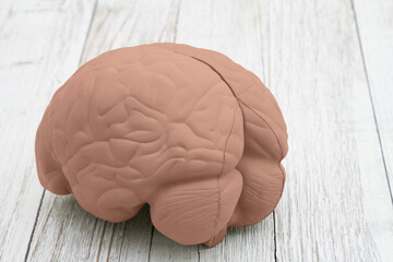 Model brain on weathered wood