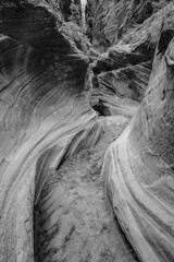 Black And White Of Echo Canyon Slot