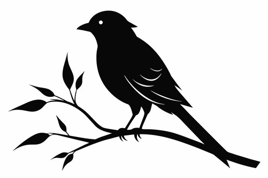 Bird in the branch vector silhouette on white background 