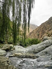 mountain river in the mountains