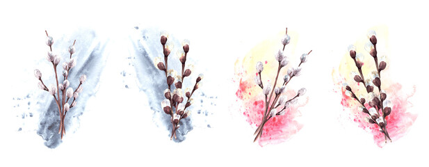 Springtime illustration of fuzzy willow tree set on watercolor yellow, pink, rosa spotted splashes background. Spring plant branches for Easter, Palm Sunday card Hand drawn watercolor Isolated clipart - obrazy, fototapety, plakaty