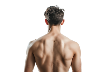 back of a fit person isolated on a white background