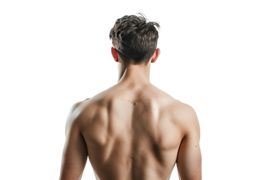 back of a fit person isolated on a white background - Powered by Adobe