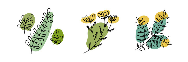 Abstract flowers, leaves and twigs of plants.