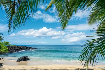 palm tree leaves sand beach and sky landscape