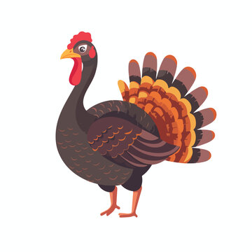 turkey animal icon image flat vector illustration 