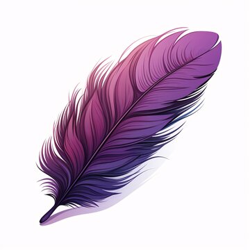 a purple feather on a white background