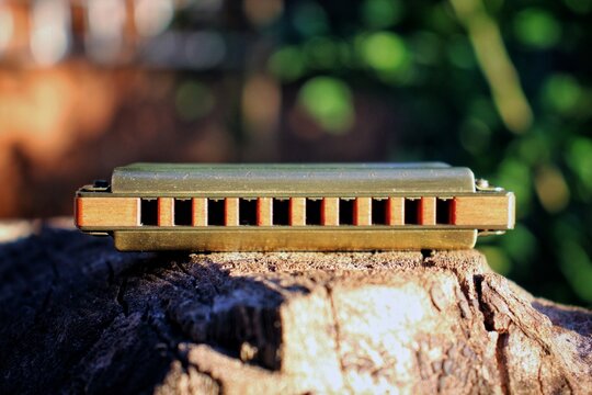 Harmonica