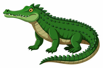 realistic crocodile illustration vector with white background
