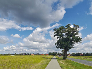 Landschaft bei Brielow im Havelland
