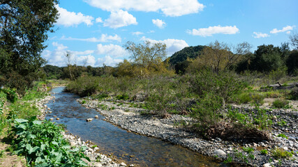 Fototapeta na wymiar San Juan Creek in Caspers Wilderness Park in southern California