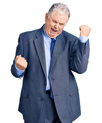 Senior grey-haired man wearing business jacket celebrating surprised and amazed for success with arms raised and eyes closed. winner concept.