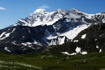 Fototapeta na wymiar Alpine landscape with blue sky, impressive mountain with snow and green flowery meadow in Gran Paradiso National Park, Aosta Valley, Italy