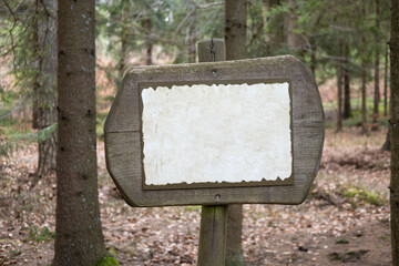 Empty wooden signpost - signboard in  forest