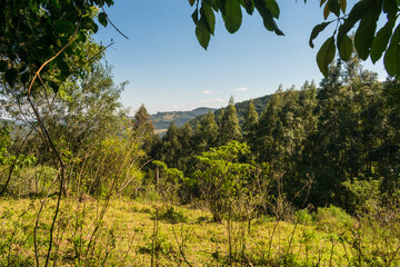 A view of the countryside (Carapina valley) of Sao Francisco de Paula, South of Brazil