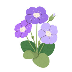 Primula veris, cowslip, or primrose cowslip, herb plant. wild hand drawn botanical illustration plant in primrose family. Floral illustration for branding, package, fabric and textile, wrapping paper