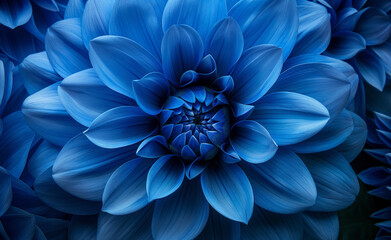 Blue Blossom: Close-Up Beauty for Floral Backgrounds