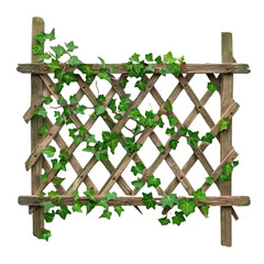 Obraz premium An old wooden fence overgrown with a weaving green isolated on white or transparent background