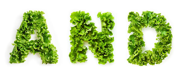 Vegetable Word And Made of Lettuce Isolated on White Background
