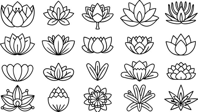 Vector black lotus icons set on white background. Lotus plant. Lotus flower
