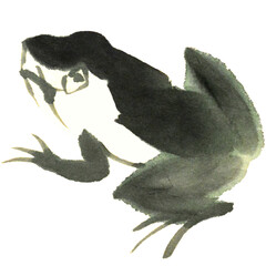 Watercolor illustration of frog isolated on white background. Gohua, traditional chinese ink and wash painting.
