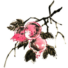 Watercolor illustration of pomegranate. Gohua, traditional chinese ink and wash painting.