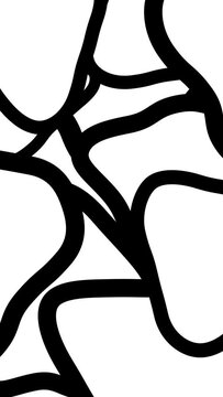 Abstract Black And White Animated Pattern