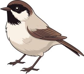 Delicate Sparrow Vector Design