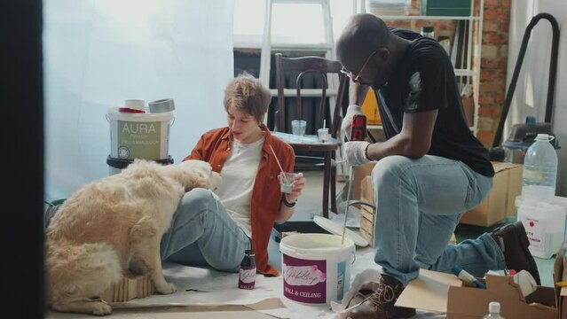Young happy Caucasian woman petting adorable golden retriever dog and smiling as her African American husband stirring paint in bucket with drill during home renovation
