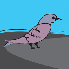 Abstract illustration of a pigeon walking on the ground. Bird in gray, city bird, pigeon. A bird with a rough decorative stroke.