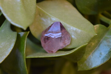 Amethyst minerals on the garden