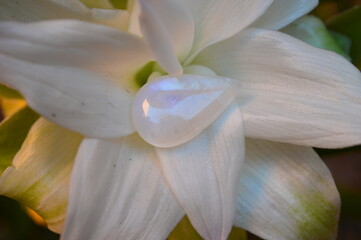 Moonstone mineral gem on the garden