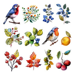 Set of stickers with flowers, berries, birds and branches. Watercolor illustration.