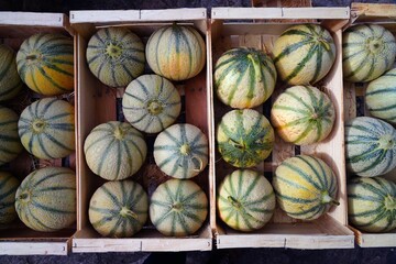 Cantaloupe melons for sale at a French farmers market - 765971434