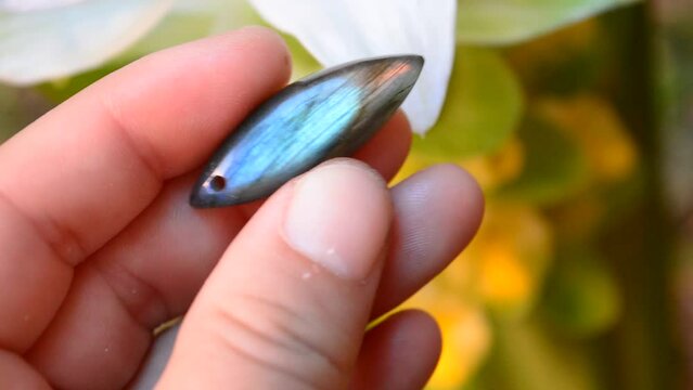 Labradorite mineral gem on the garden