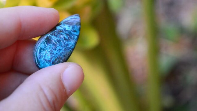 Chrysocolla mineral gem on the garden