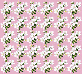 Flowers pattern digital deign pink background