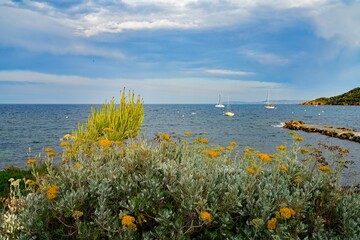 View of the landscape in Cap Benat, a cape on the Mediterranean Sea in Bormes-les-Mimosas near Le Lavandou on the French Riviera Cote d’Azur - 765980497