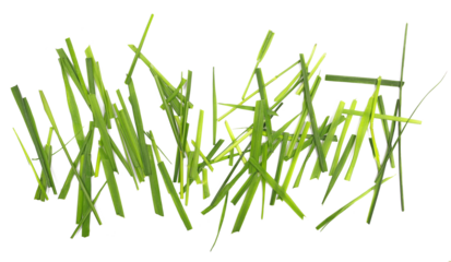 Fresh green cut wild grass isolated on white background and texture, top view	