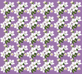 Flowers digital pattern purple background