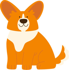 Corgi Dog Sitting