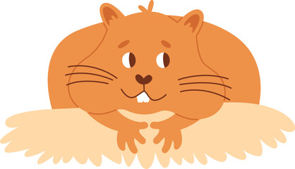 Hamster Resting On Hay