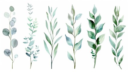 Fototapeta premium Delicate Watercolor Floral Illustration Set, Green Leaf Branches Collection