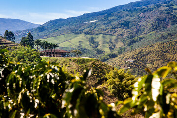 The beautiful Coffee Cultural Landscape of Colombia declared as a World Heritage Site in 2011