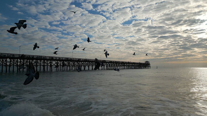 Seagulls flock over beach shoreline with dock