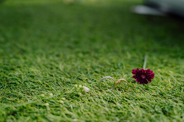 wedding ring and red flower on green grass